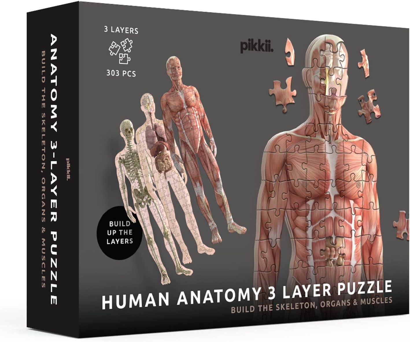 Human Anatomy 3 Layer Puzzle