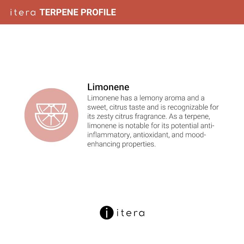 Itera Health Pain Relief Capsules – Natural Anti-Inflammatory Support – 30 Caps – Fast-Acting Joint & Muscle Pain Relief