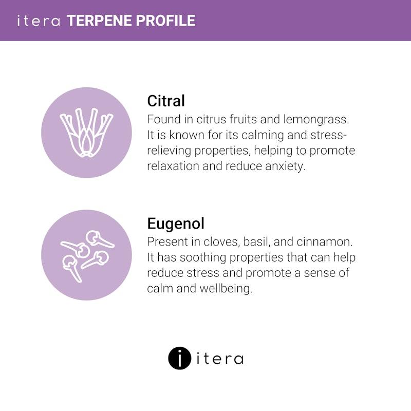 Itera Health Inner Peace – Stress & Anxiety Support with Magnesium Glycinate, Passiflora & Terpenes | 30 Capsules