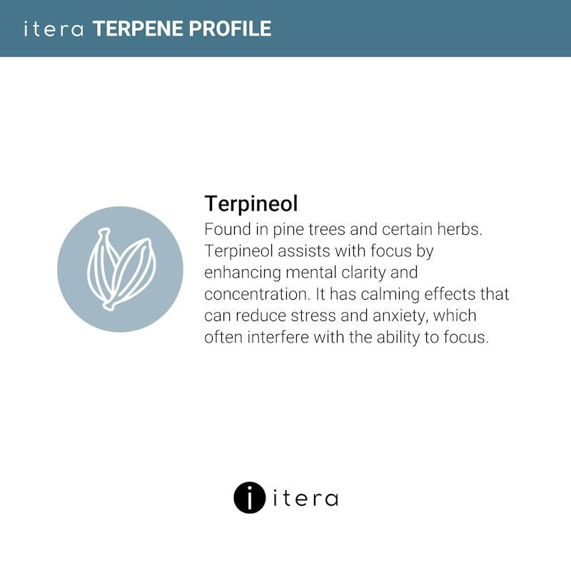 Itera Health Your FOCUS – Cognitive Support with Magnesium Glycinate, Ginkgo Biloba & Limonene | 30 Capsules