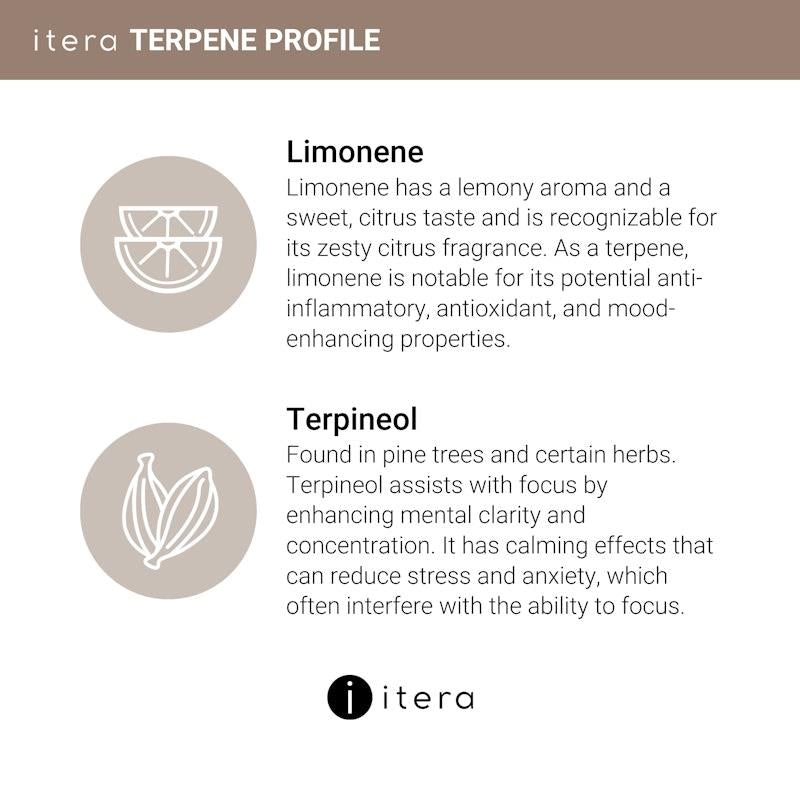 Itera Health Your WEIGHT CONTROL – Fat Metabolism Support with Acetyl Levocarnitine, Green Tea Extract & Terpenes | 30 Capsules