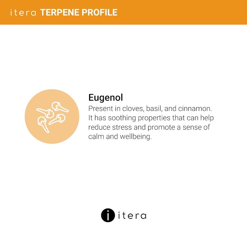 Itera Health Your SEASONAL SHIELD – Immune Support with Echinacea, Vitamin C, Magnesium & Eugenol | 30 Capsules