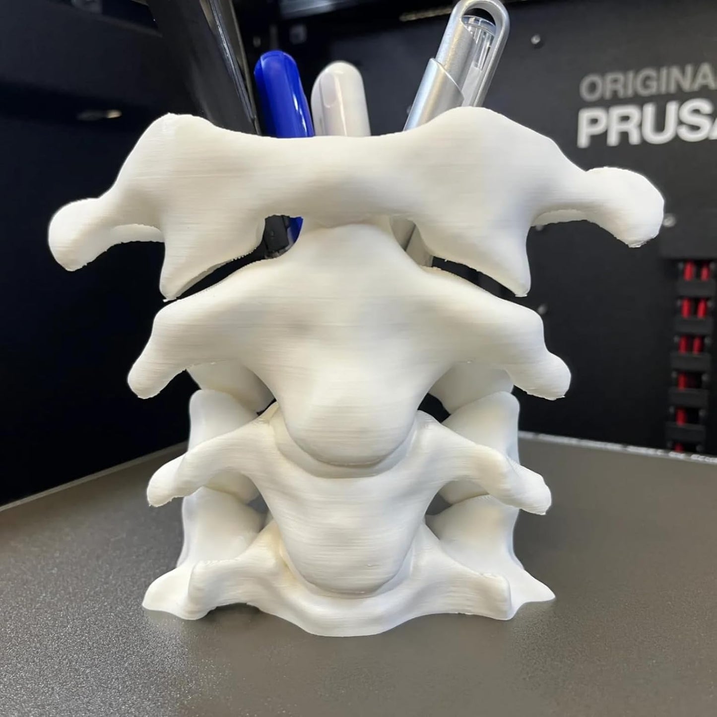 Unique Spine Pen Holder for Desk, Pencil Holder Desk Organizers, Office Supplies Decorations Idea Gift for Doctors, Nurses, Chiropractors