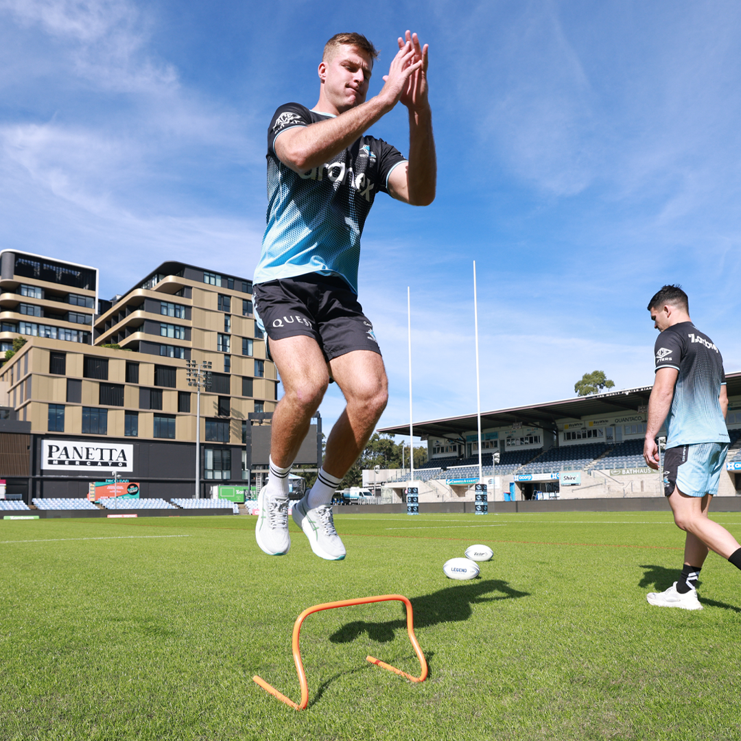 Victor Mini Agility Hurdle