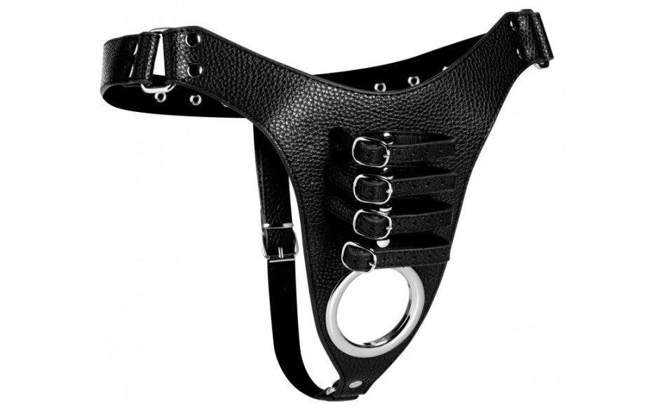 Male Chastity Harness