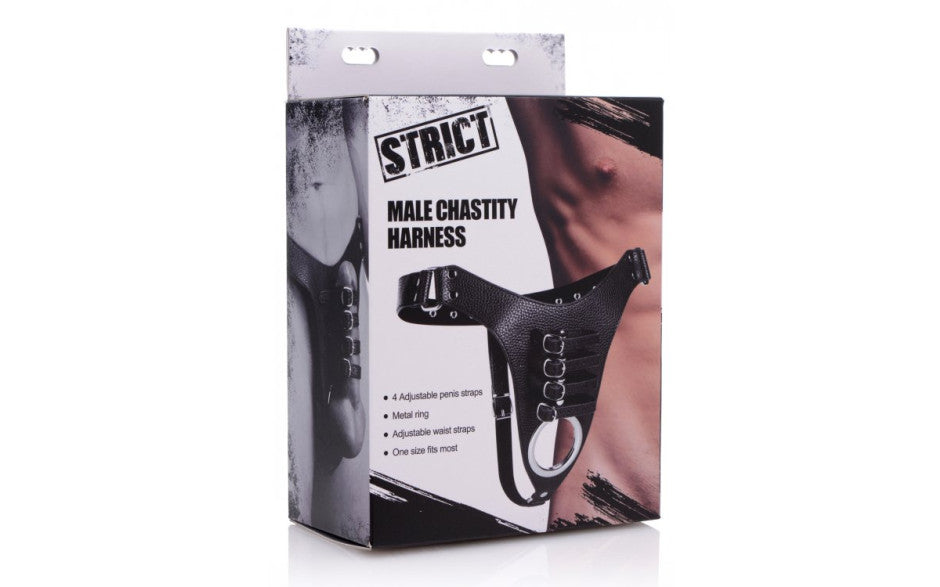Male Chastity Harness