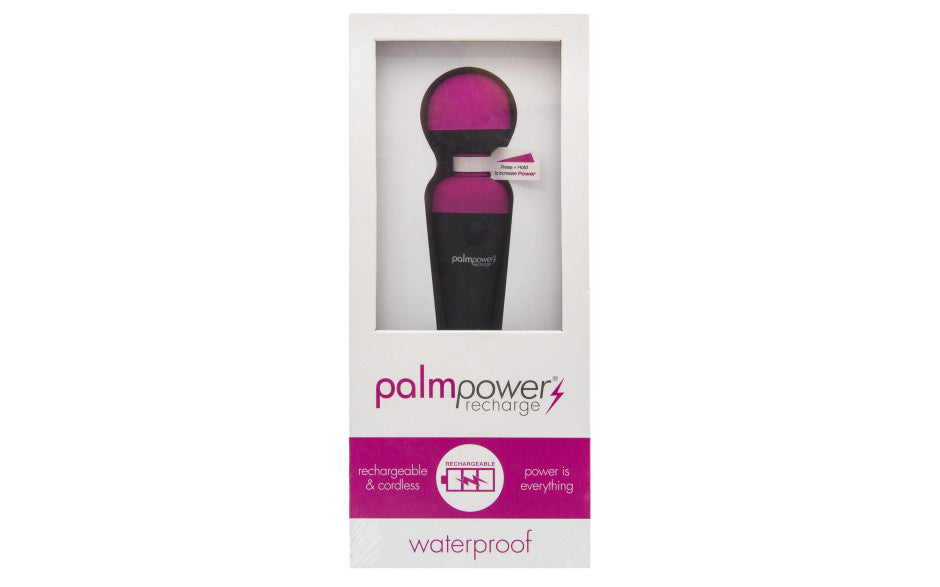 PalmPower Massage Wand Recharge Waterproof