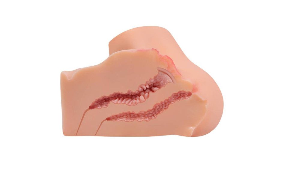 Onahole Pussy and Ass 1:1 Torso