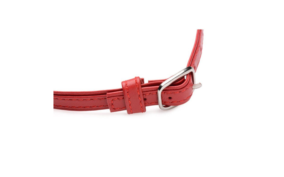 Fiery Pet Leather Choker w Silver Ring Red