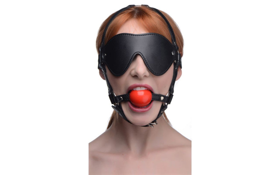 Blindfold Harness w Ball Gag