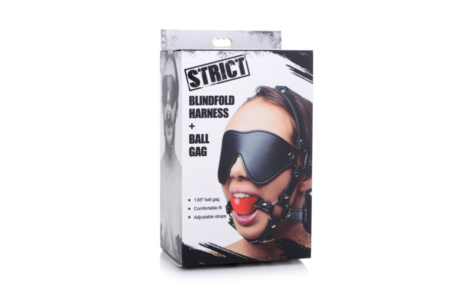 Blindfold Harness w Ball Gag