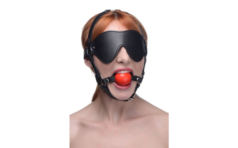 Blindfold Harness w Ball Gag