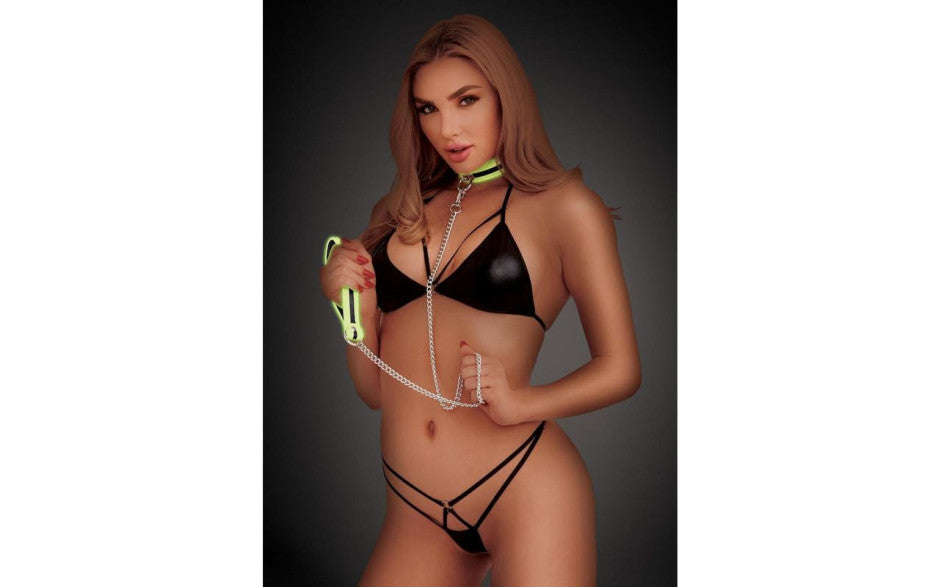 Whip Smart Glow In The Dark Deluxe Collar and Leash