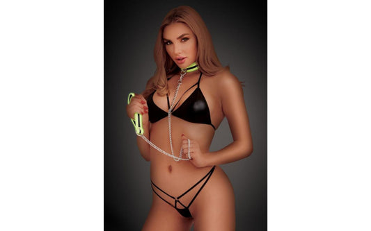 Whip Smart Glow In The Dark Deluxe Collar and Leash