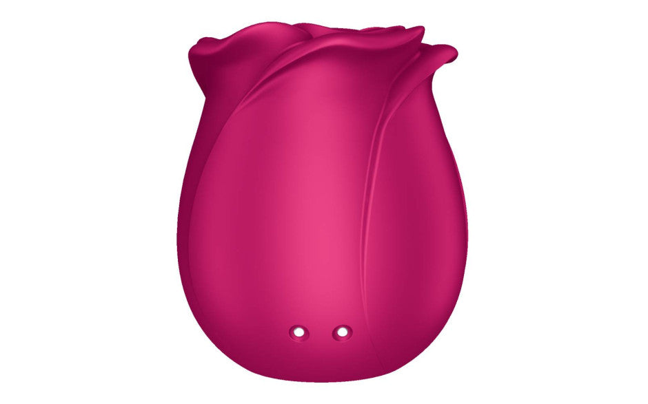Satisfyer Pro 2 Classic Blossom Air Wave Clitoral Stimulator