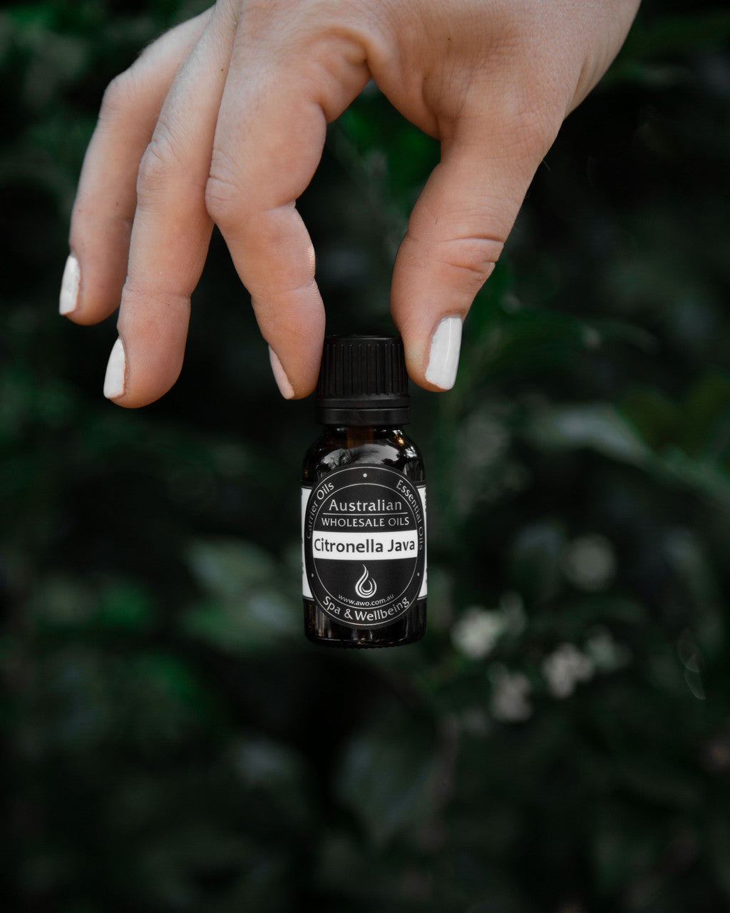 Citronella Essential Oil (Java)