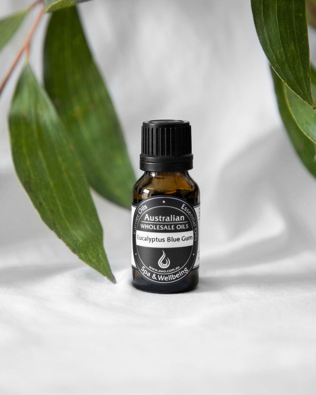 Eucalyptus Blue Gum Essential Oil