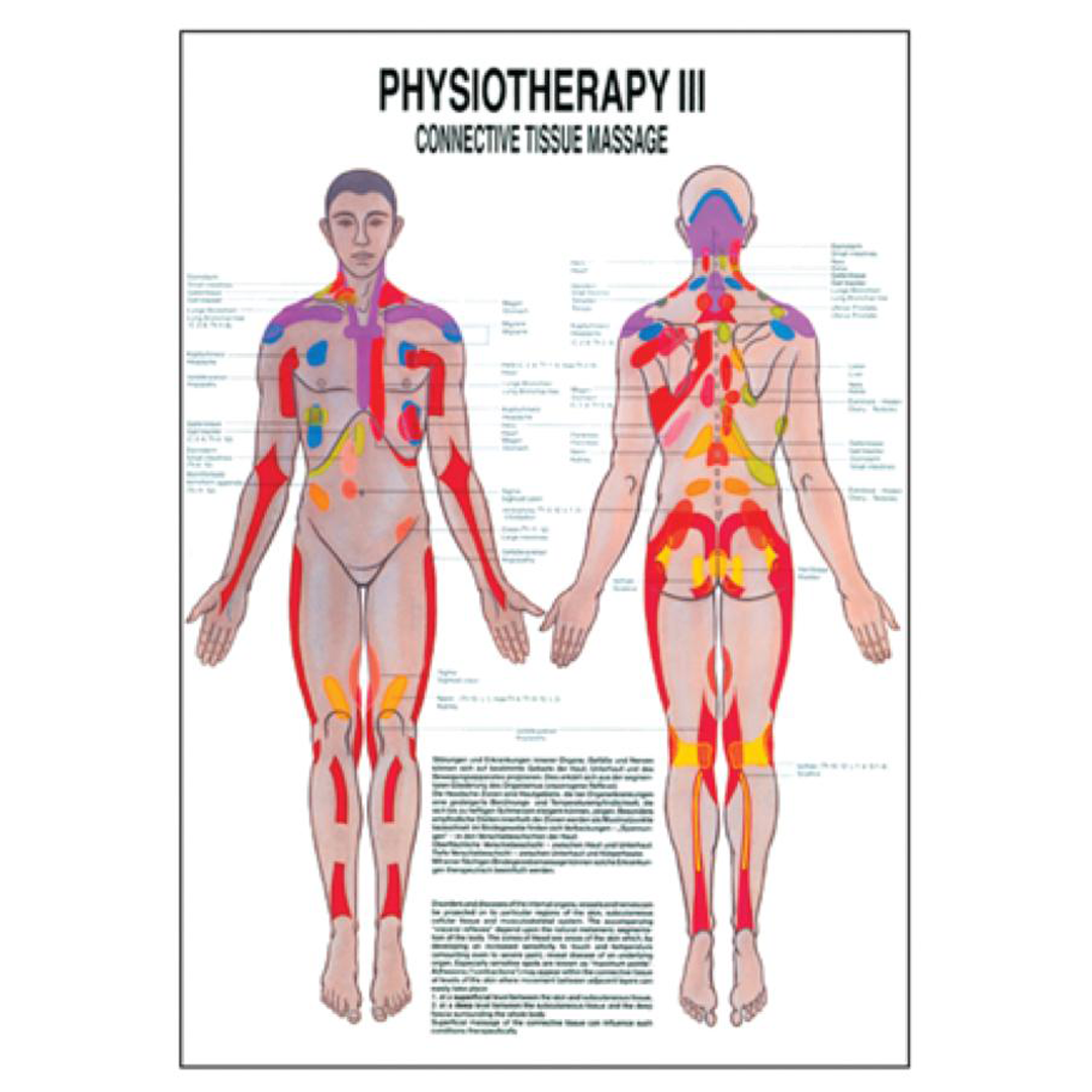 LMTD Chart Connective Tissue Massage