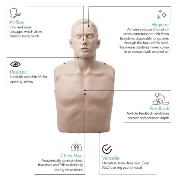 BRAYDEN CPR Manikin (Without Lights)
