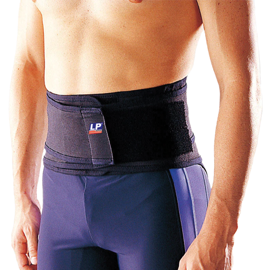 LP Support Back Support (with Removal Pad) 920