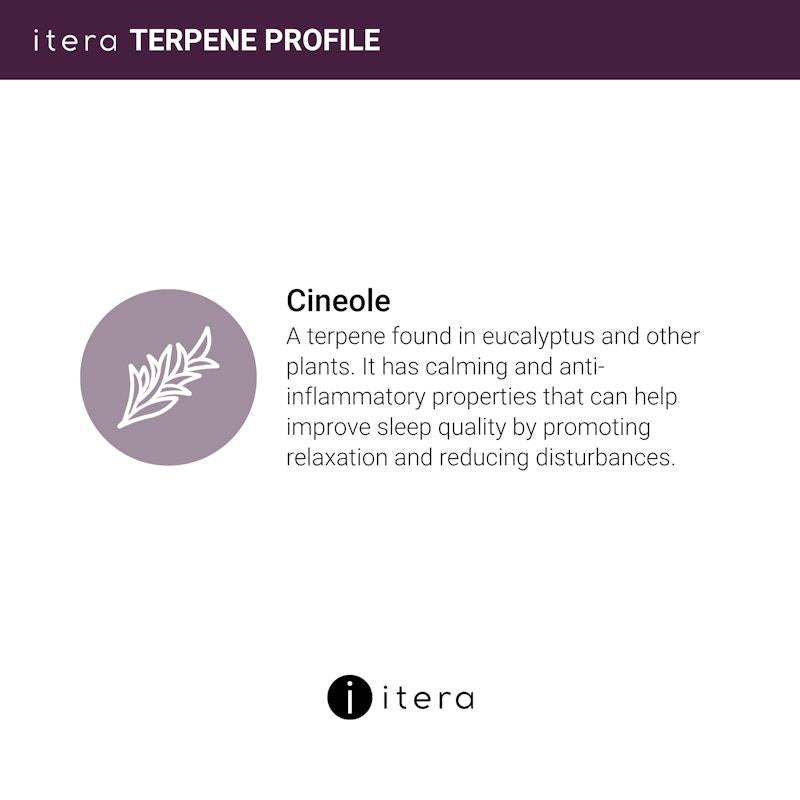 Itera Health Your SLEEP – Natural Sleep Support | Magnesium, Passiflora & Terpenes – 30 Capsules