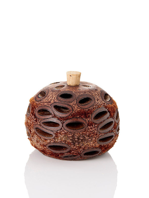 Mini Banksia Pod Diffuser