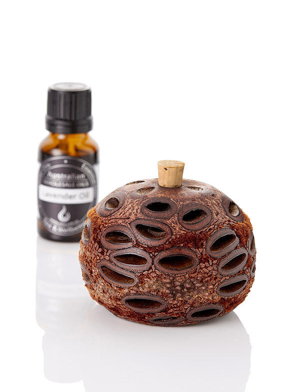 Mini Banksia Pod Diffuser