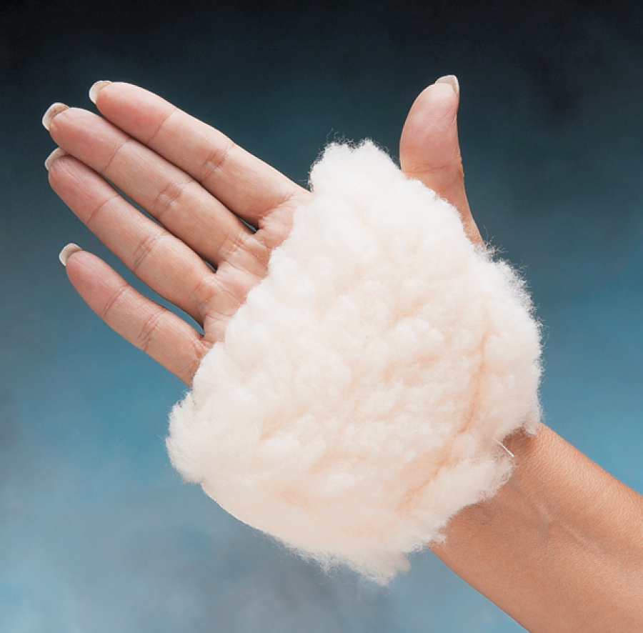 Northcoast Palm Protector