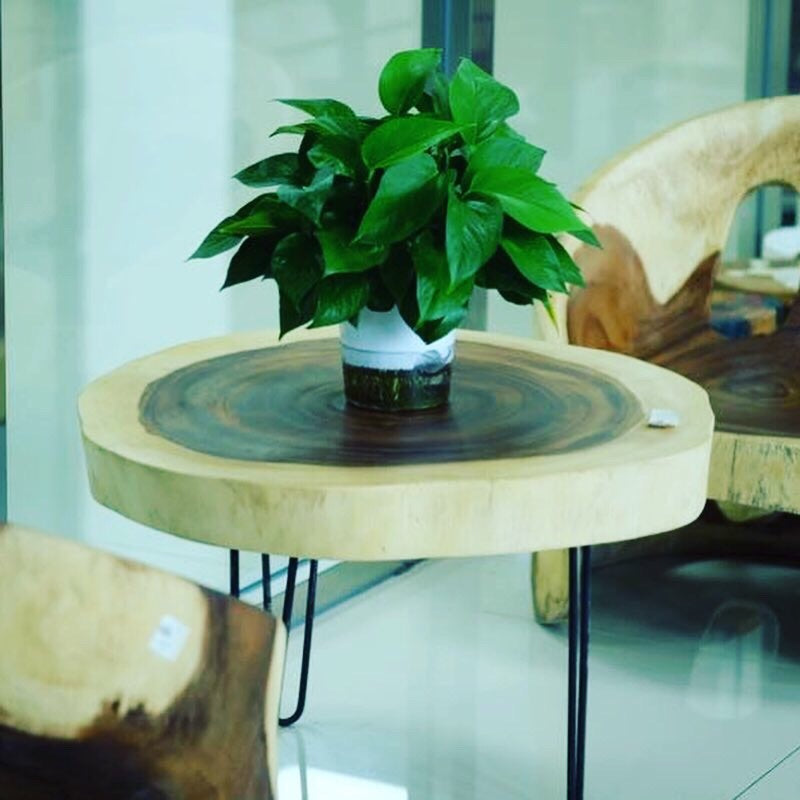 Round solid Raintree wood live edge coffee table with black metal legs