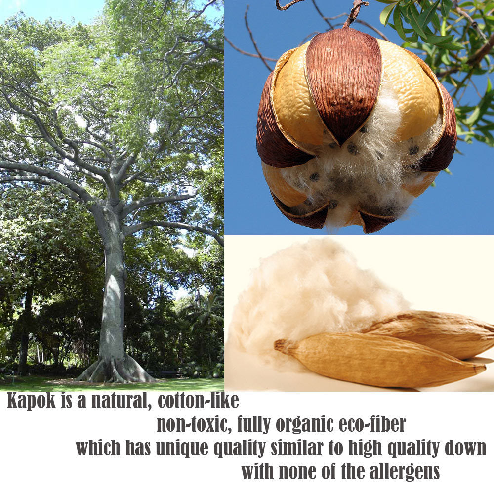 Roll Up Foldable Mattress + Kapok Pillow Block Set - Handmade Thai Daybed & Yoga Mat