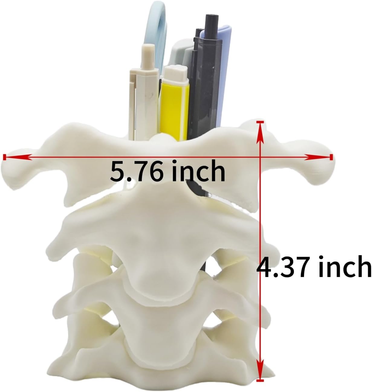 Unique Spine Pen Holder for Desk, Pencil Holder Desk Organizers, Office Supplies Decorations Idea Gift for Doctors, Nurses, Chiropractors