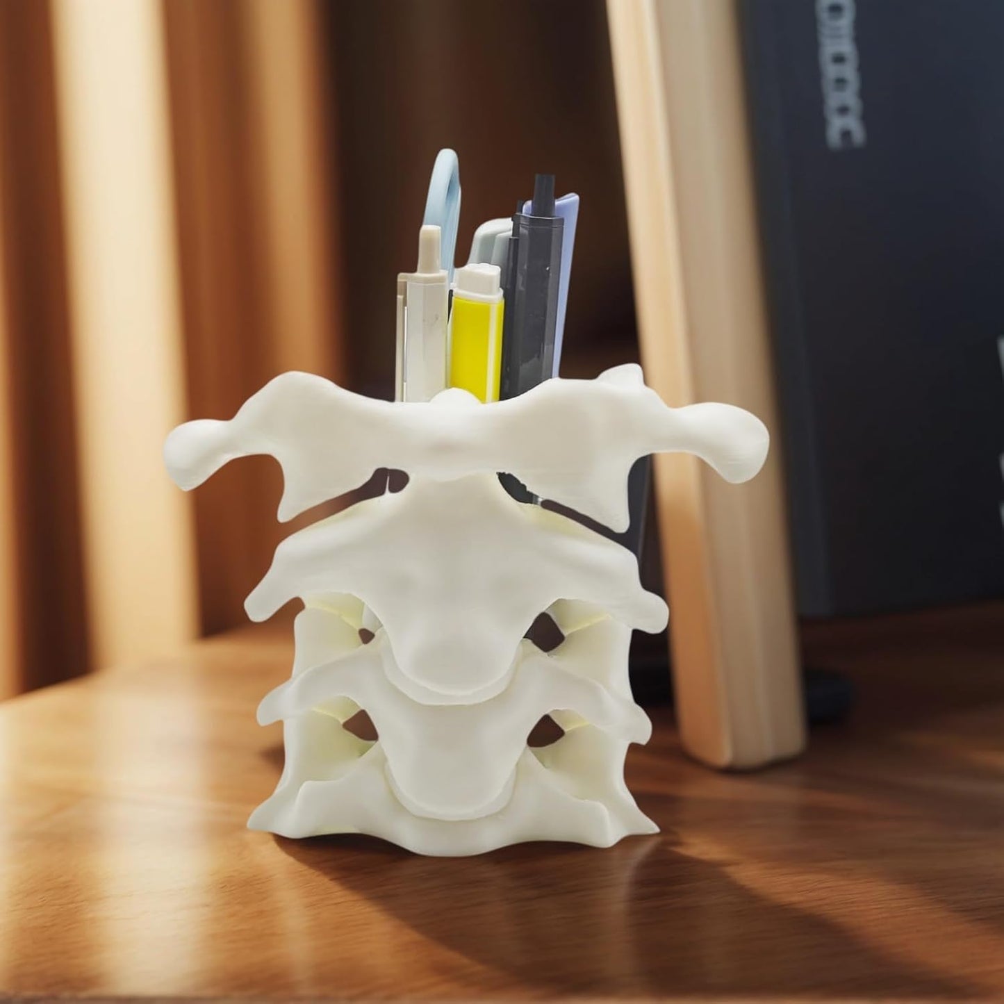 Unique Spine Pen Holder for Desk, Pencil Holder Desk Organizers, Office Supplies Decorations Idea Gift for Doctors, Nurses, Chiropractors