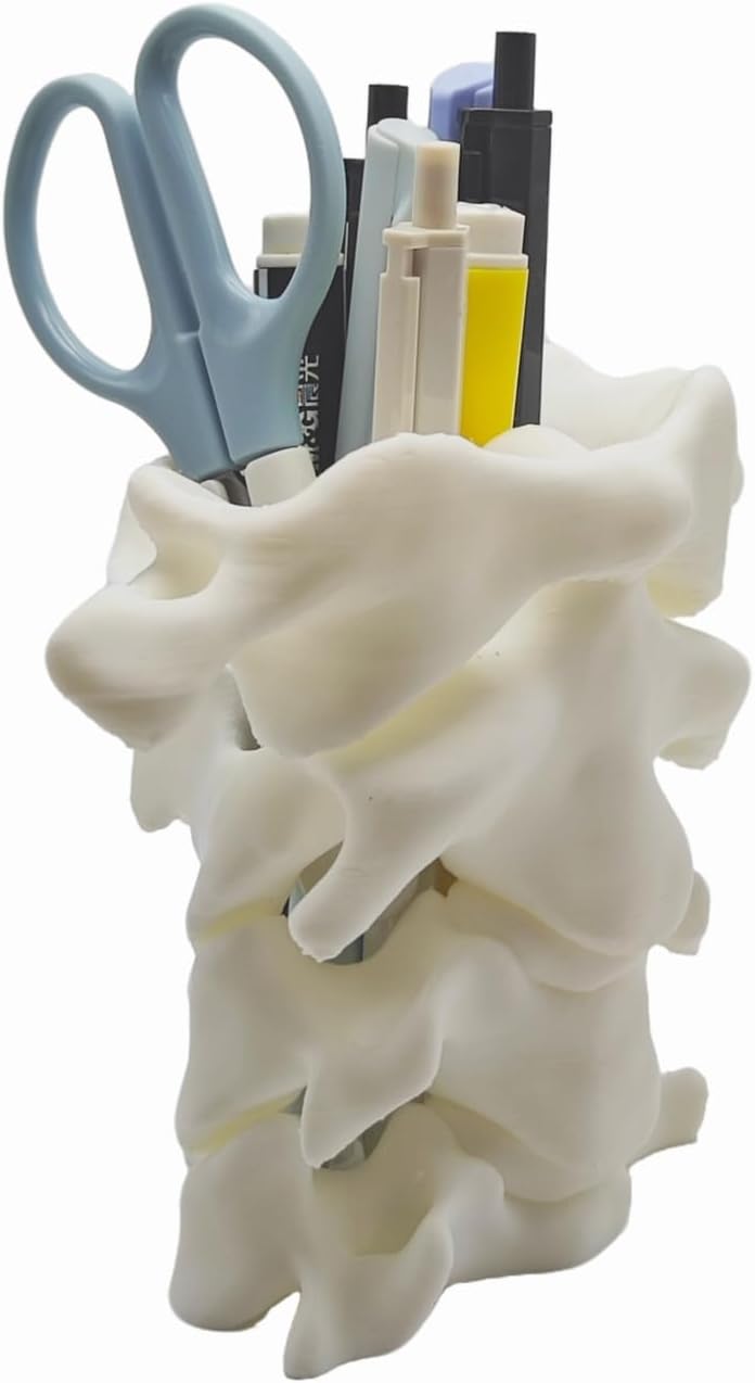 Unique Spine Pen Holder for Desk, Pencil Holder Desk Organizers, Office Supplies Decorations Idea Gift for Doctors, Nurses, Chiropractors