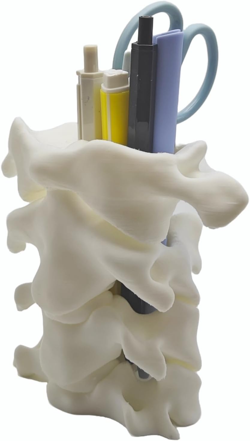 Unique Spine Pen Holder for Desk, Pencil Holder Desk Organizers, Office Supplies Decorations Idea Gift for Doctors, Nurses, Chiropractors