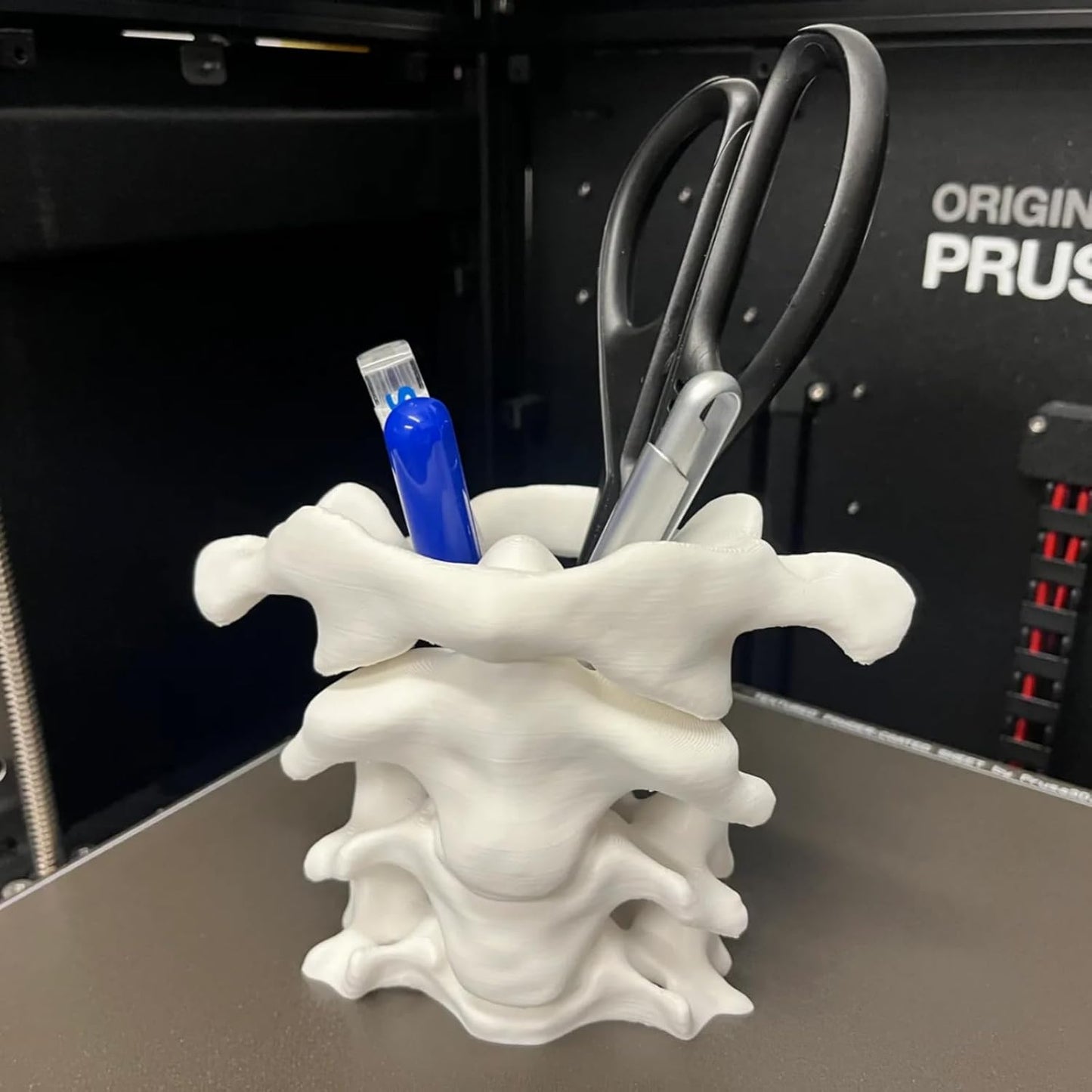 Unique Spine Pen Holder for Desk, Pencil Holder Desk Organizers, Office Supplies Decorations Idea Gift for Doctors, Nurses, Chiropractors