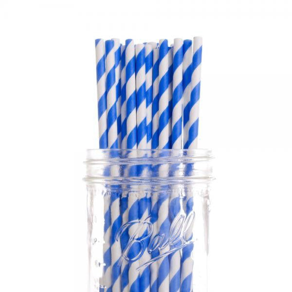 1000-Pack Blue White Biodegradable Eco Paper Drinking Straws - Bulk Party & Cafe