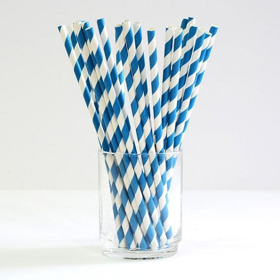 1000-Pack Blue White Biodegradable Eco Paper Drinking Straws - Bulk Party & Cafe