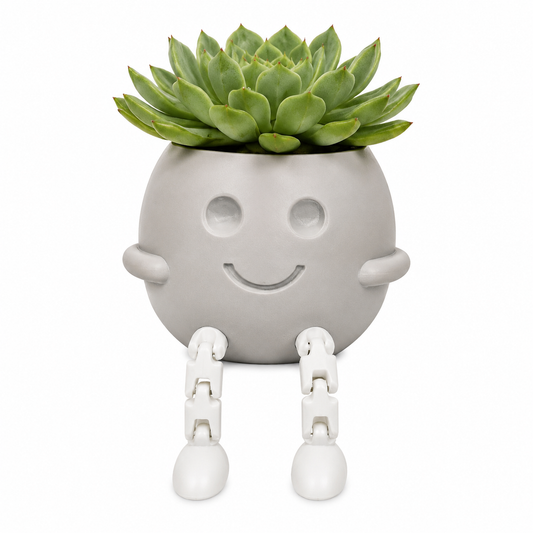3D Printed Rocking Planter - Desktop Decoration or Bookshelf Embellishment White