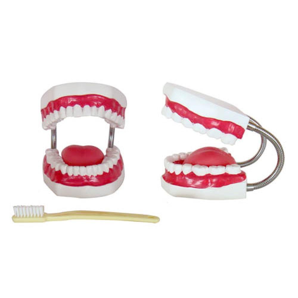 Mouth Cavity Toothbrush for Effective Oral Care